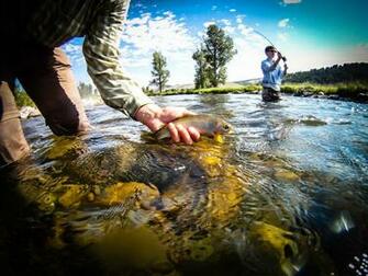 Fishing Fish Sport Water Fishes River Wallpaper Background