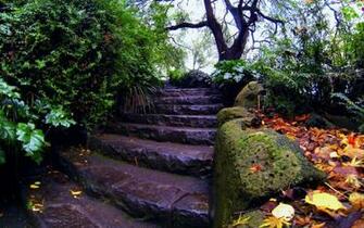 Wet Garden Stairs Desktop Pc And Mac Wallpaper