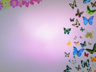 Background Butterflies HD Wallpaper Pretty