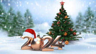 New Year Backiee