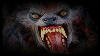Werewolf Computer Wallpaper Desktop Background Id