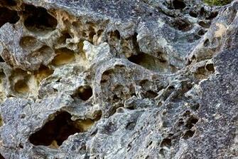 Goat Rock Looks Likes Swiss Cheese These Holes In The Are