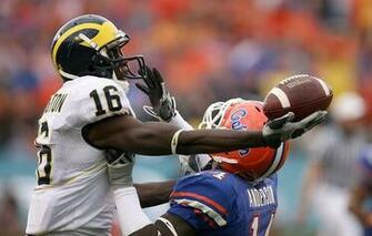 Michigan Wolverines Graphics Code