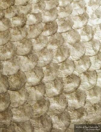 Can See This Maya Romanoff Mother Of Pearl Paper As An Accent Wall