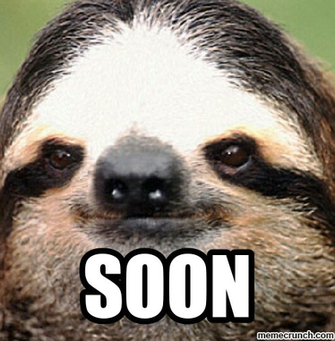 Sloth Wallpaper Weddingdressin