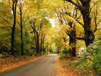 Wallpaper Beautiful Autumn Scenery Desktop Background