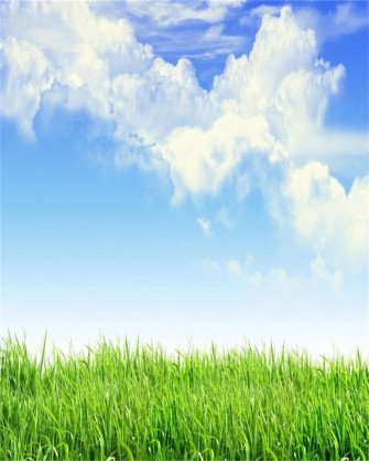 Amazon Aofoto Blue Sky Spring Meadow Backdrop Green