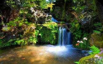 Animated Wallpaper H33t Screensavers Torrent