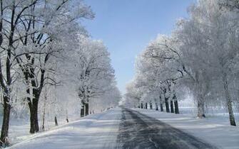 Winter And Snow Wallpaper Net