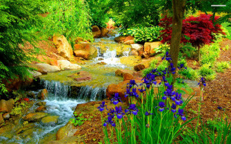 Beautiful Garden HD Wallpaper For Desktop