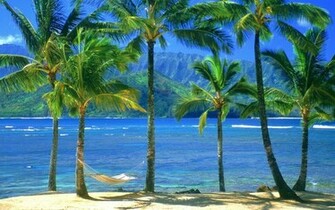 Hq An Empty Hammock Kauai Hawaii Wallpaper