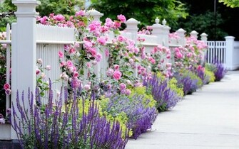 Flower Garden Background