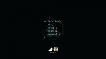 Life Of A Programmer In Simple While Loop By Adityakrcodes