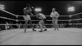 Boxing Grayscale Wallpaper Muhammad Ali