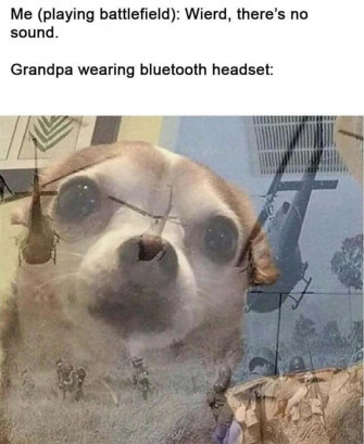 Dog War Flashbacks Dank Memes Picture Wallpaper