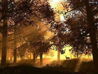Mother Nature Image Wallpaper Photos