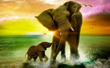 Cute Elephant Wallpaper For Desktop Net