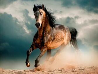Galloping Pony Wallpaper