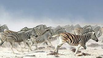 Nxai Pan National Park Luxury Botswana Safari Andbeyond