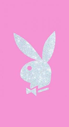 On Bunny Wallpaper Pink Unicorn