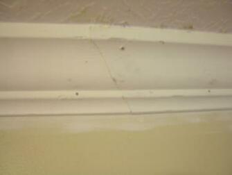 Cherry Wood Crown Molding Wallpaper Border