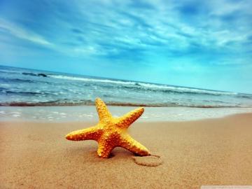 Beach And Starfish Wallpaper On