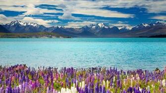 Beautiful Spring Scenery Lake HD Wallpaper New