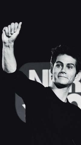 Dylan Stiles Stilinski HD Wallpaper Background