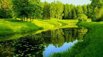 Nature Trees River Reflection X