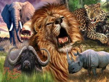 Big Five Desktop Nexus Wallpaper Animals Wild Large
