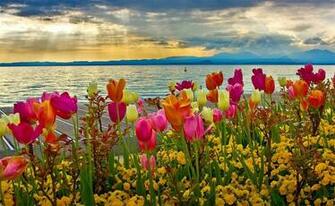 Stunning Spring HD Wallpaper Themesurface
