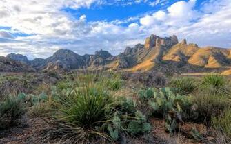 Big Bend Wallpaper Nature