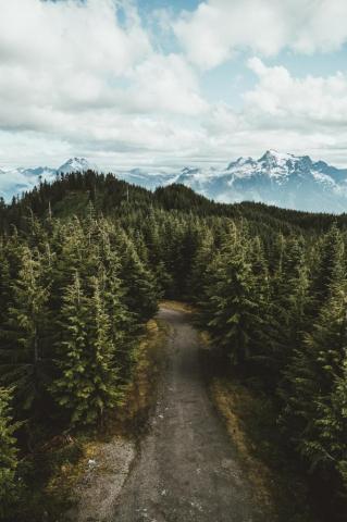 Scenery Best Grey Outdoor And Wallpaper