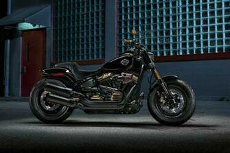 Softail Motorcycles Harley Davidson Usa