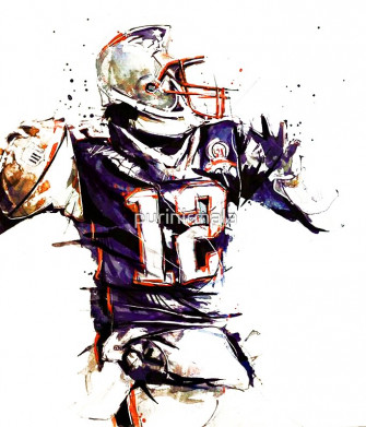 Tom Brady Goat Wallpaper