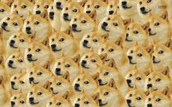 Meme Faces Wallpaper