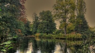 Natural Home Wallpaper