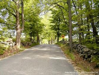 Visual Paradox 3d Wallpaper Forest Road