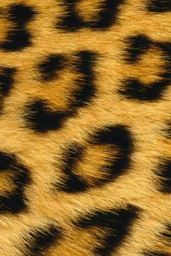 Leopard Skin iPhone Wallpaper