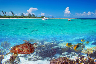My Tropical Beach Summer Vacation Wallpaper