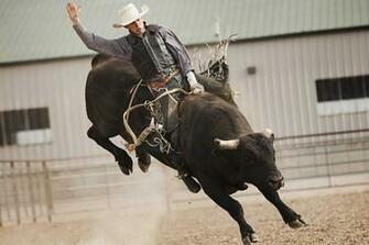 Bull Riding Background Net