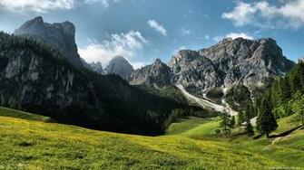 Beautiful Mountain Meadow Wallpaper