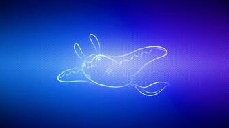 Wallpaper Swim Pokemon Mantine Widescreen