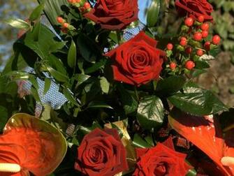 Full Screen Most Romantic Red Roses Wallpaper Background