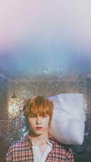 Vernon Seventeen Oh My HD Wallpaper
