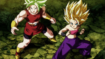 Kale And Caulifla Full HD Wallpaper Background Image