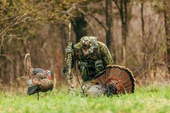 Nwtf Wallpaper Top Background