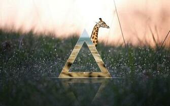Hipster Wallpaper High Resolution Net