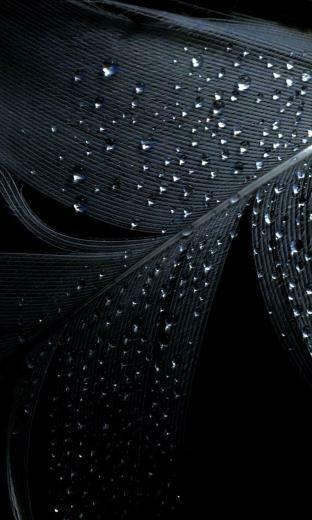 Blackberry Z30 Wallpaper Themes