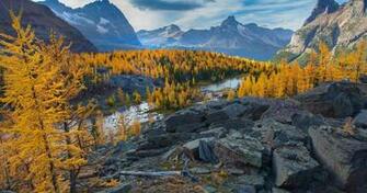 British Columbia Canada Nature 4k Ultra HD Wallpaper Ololoshenka